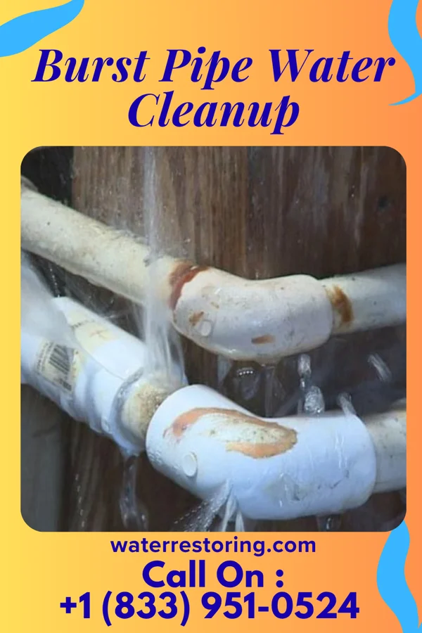 Burst Pipe Water Cleanup in New Bethlehem, PA