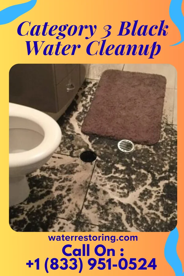 Category 3 Black Water Cleanup in New Bethlehem, PA