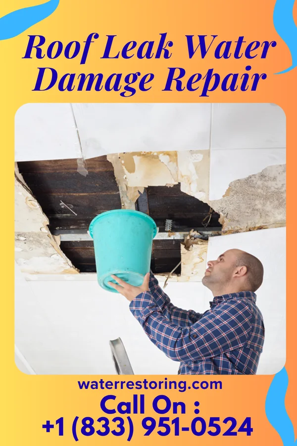 Roof Leak Water Damage Repair in New Bethlehem, PA
