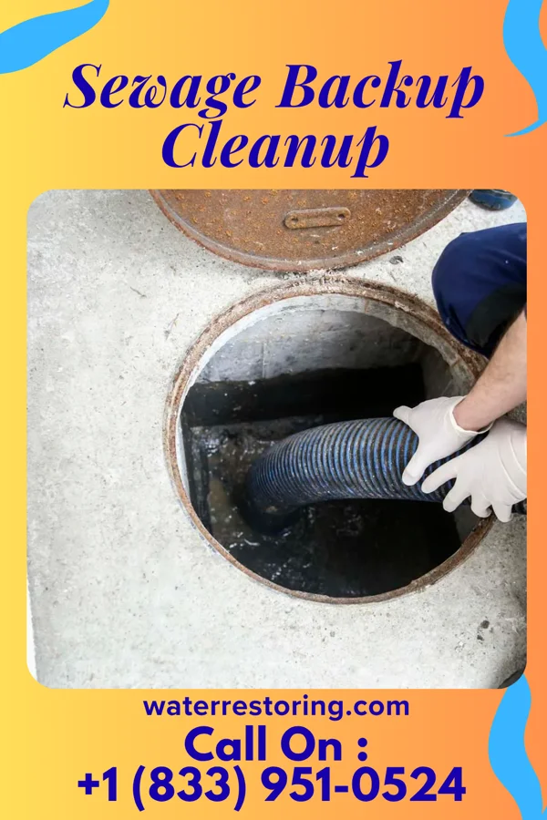 Sewage Backup Cleanup in New Bethlehem, PA