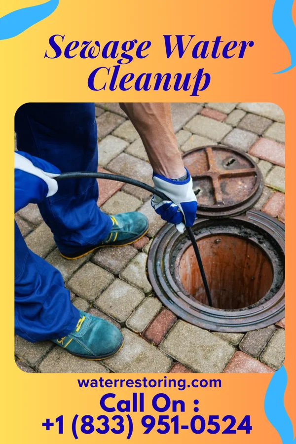 Sewage Water Cleanup in New Bethlehem, PA